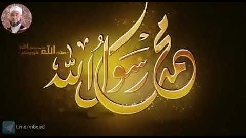 من سورة فاطر 19-26 بصوت الشيخ محمود المبيض