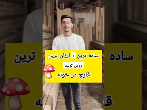 ساده ترین و ارزون ترین روش پرورش قارچ در خانه قارچ قارچ صدفی قارچ خانگی ارگانیک پرورش قارچ 