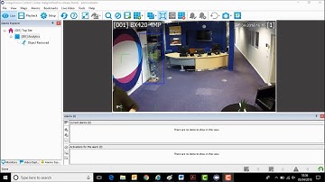 BX Analytics Metadata - Object Removed Reception