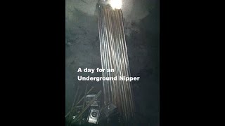 A day for an Underground Nipper