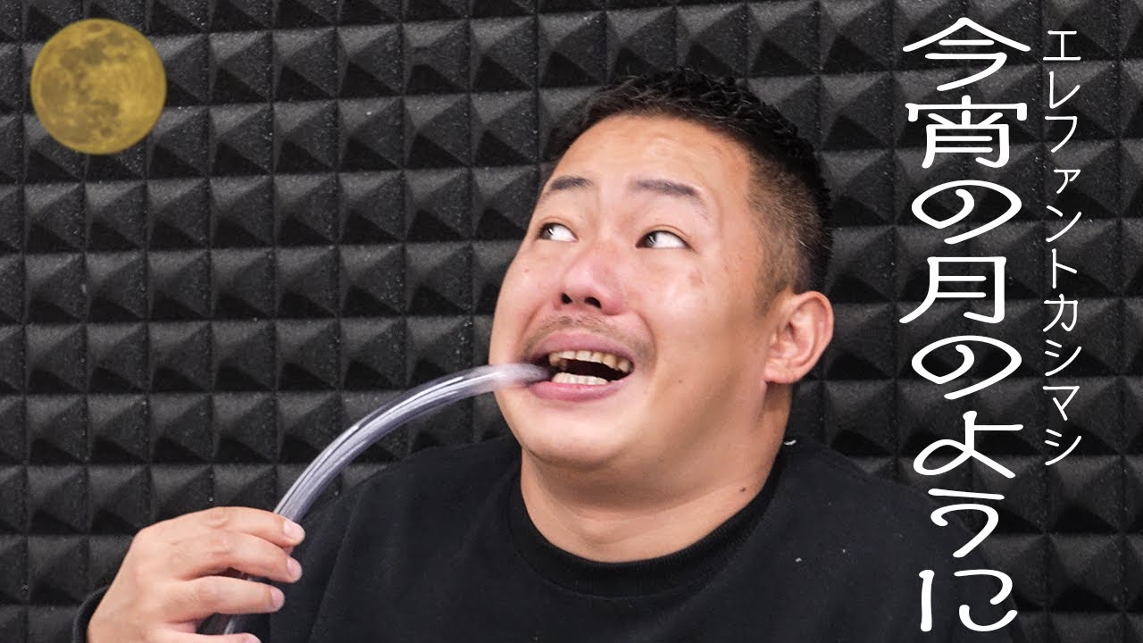 今宵の月のように / エレファントカシマシ【トークボックスってみた】