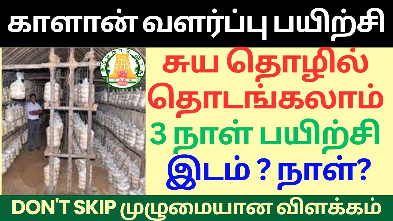 காளான் வளர்ப்பு பயிற்சி 2025 | mushroom cultivation training in Tamil