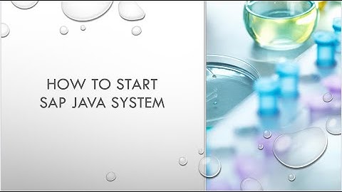 How to start SAP JAVA system