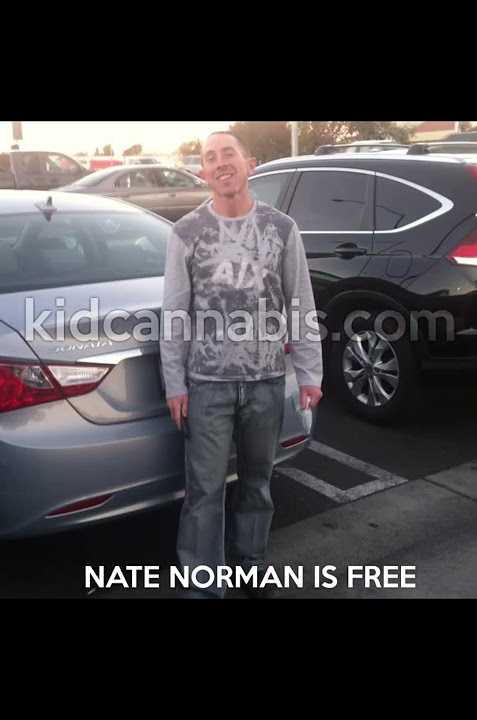 Nate Norman The Teenage Drug Lord #truecrime #true #gangster #history #facts #weird #money #news