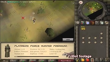 Old School Runescape 2007 Bot,  #1 TRiBOT (COMPLETES RANDOM EVENTS)!!!!