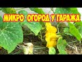 Микро огород у гаража