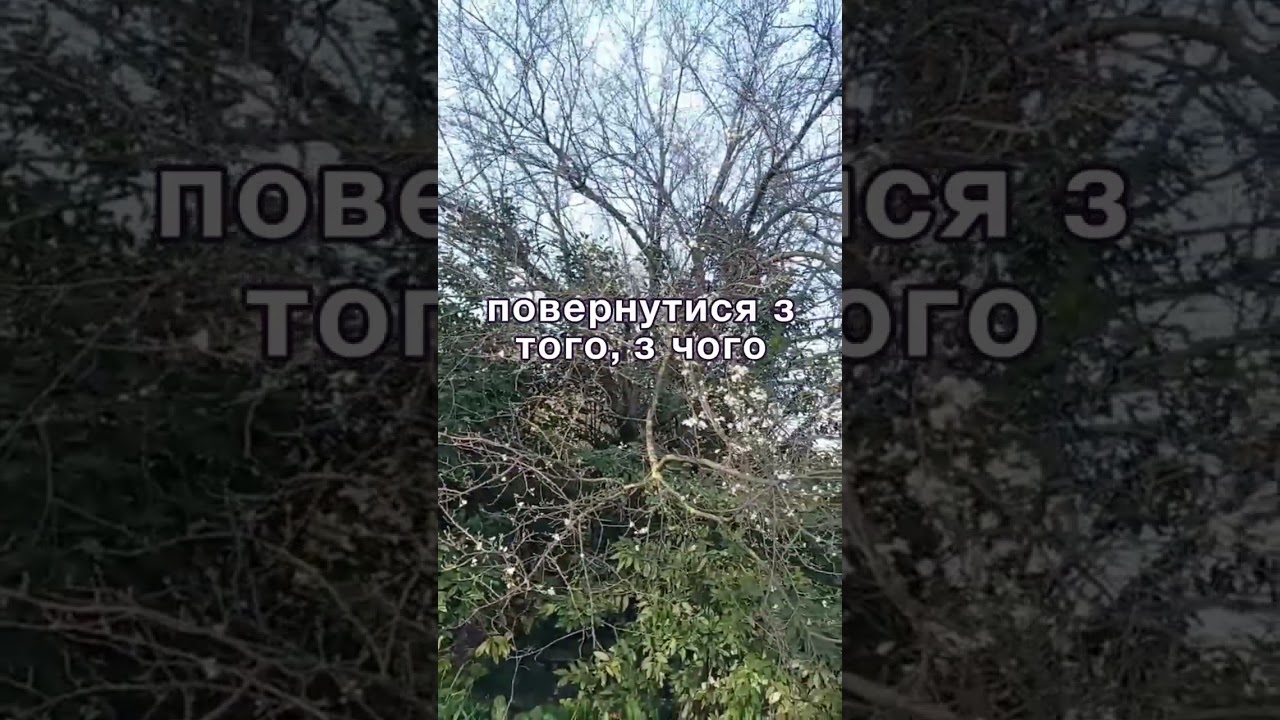 Батьки завжди допоможуть своїй дитині, навіть з останнього