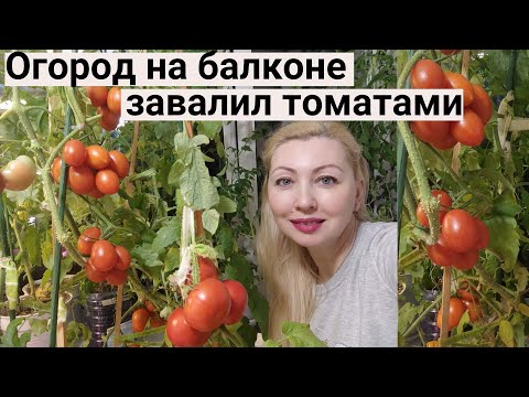 Обзор Огорода на