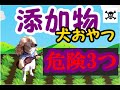 【危険な犬のおやつ添加物3選】これだけ知ってるだけで無駄遣いを減らし健康になれる【しゃべる犬】自然良品わっしょいの店長わっしょいがおしえる。柴犬ミックス　オーガニック　無添加
