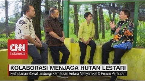 Kolaborasi Menjaga Hutan Lestari - Insight With Desi Anwar