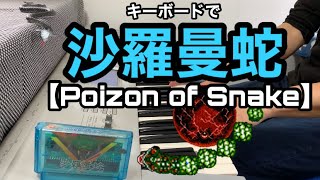 沙羅曼蛇【Poizon of Snake】（ボスBGM）【SALAMANDER】