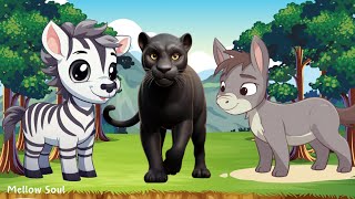 A fun and adorable animal video: zebra, panther, donkey, goat, sheep, chicken