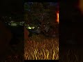 I finish off his raptor and he punishes me / ark ascended