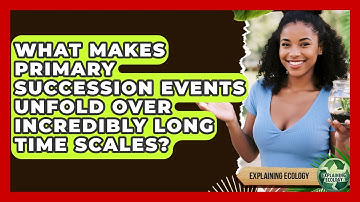 What Makes Primary Succession Events Unfold Over Incredibly Long Time Scales? - Explaining Ecology