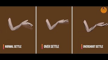Different types Settle animation tutorial