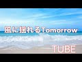 チューブ  風に揺れるTomorrow  【歌ってみた】