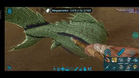FINALMENTE EU POSSO VOAR NO ARK DOMANDO O PITERANODON _ARK SURVIVO EVOLVED.