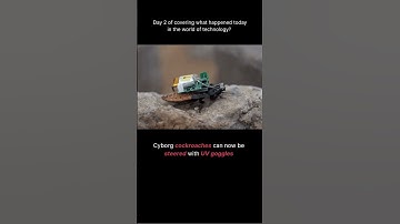 Day 2 | The cyborg cockroaches