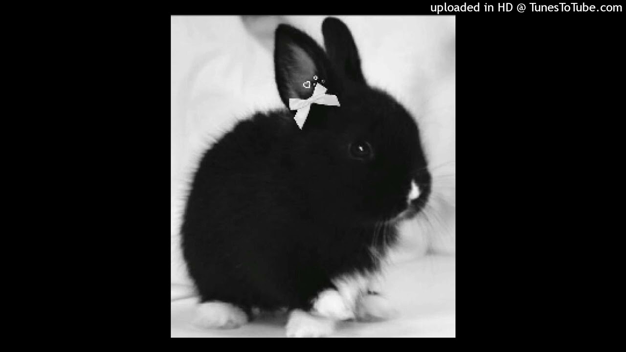 [FREE] crystal castles x glitchcore x scenecore type beat "all night long"