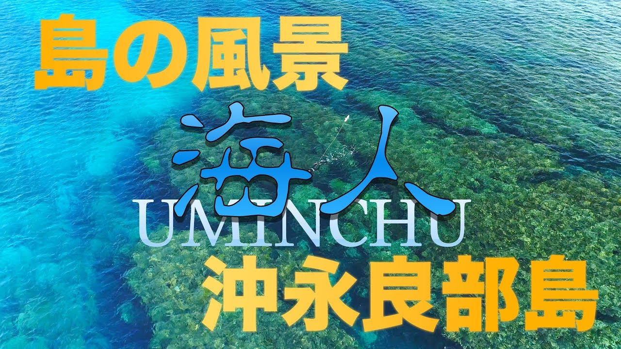 【沖永良部島 空撮】島の風景 「海人」素潜り漁師　４K