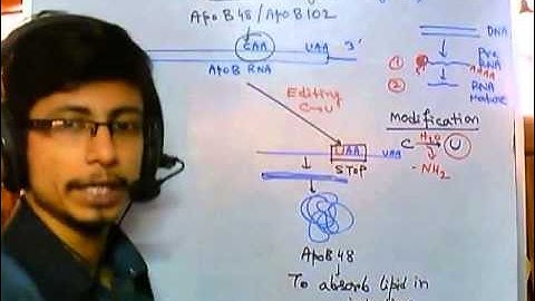 RNA editing mechanism