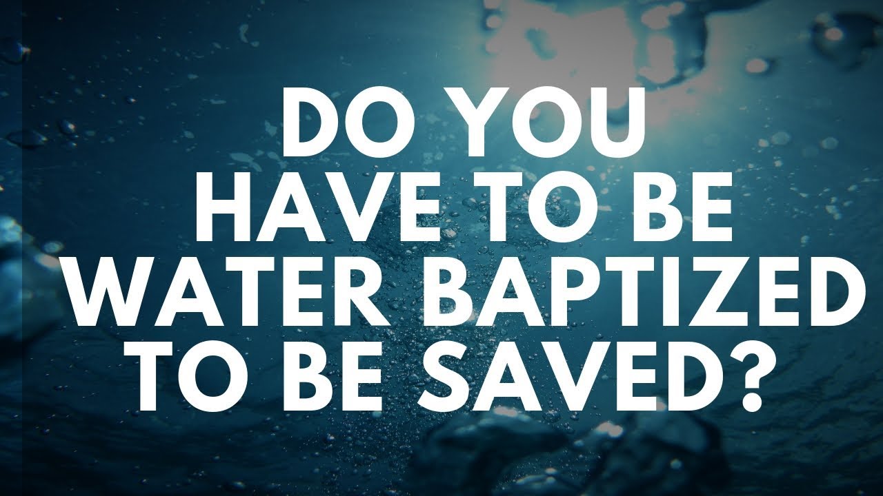 Your Question Honest Answers 7000ドル