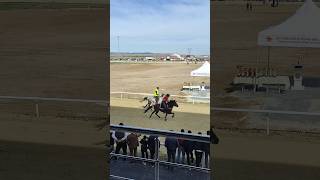 Rahvan At Yarışı Afyonkarahisar Şfet