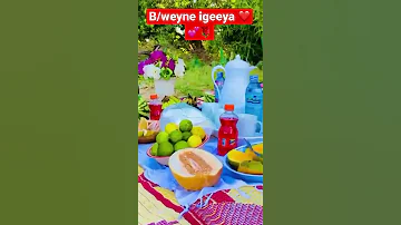 Beledweyne Iyo Barwaaqada Taal Illaahow Usiyaadi 