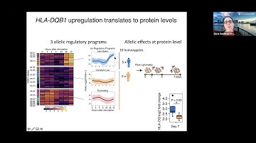 [Maria Gutierrez-Arcelus] Allele-specific expression changes dynamically during T cell activation