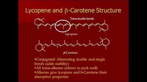Lycopene Extraction Edited