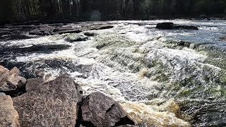 Сплав по реке Воньга. От Амбарного до Куземы во второй половине августа 2024г.. Часть 7,