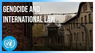 How Genocide Became Part of International Law | United Nations