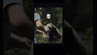 "This is why ‘Don’t feed the animals’ is a rule — not a suggestion. 🛑 #wildlife #animals #trending Wealth