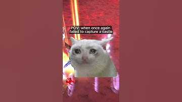 🥲🥲 #muonline #meme #mmorpg #fyp