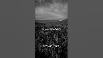 🎧عم يتساءلون 🧡😴 القارئ الصغير عبدالسلام شافي