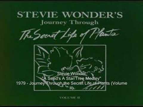 Stevie Wonder - A Seed's A Star/Tree Medley