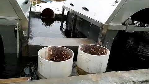JX Filtration-How to Delousing Salmon? Rotary drum filter for fish farm