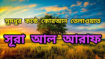 Anas Al | سورة الأعراف - Surah Al-A'raf Emadi | English Translation @aliaraexpress