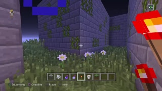 PS4 MINECRAFT MAZE RUNNER THEME BUILD
