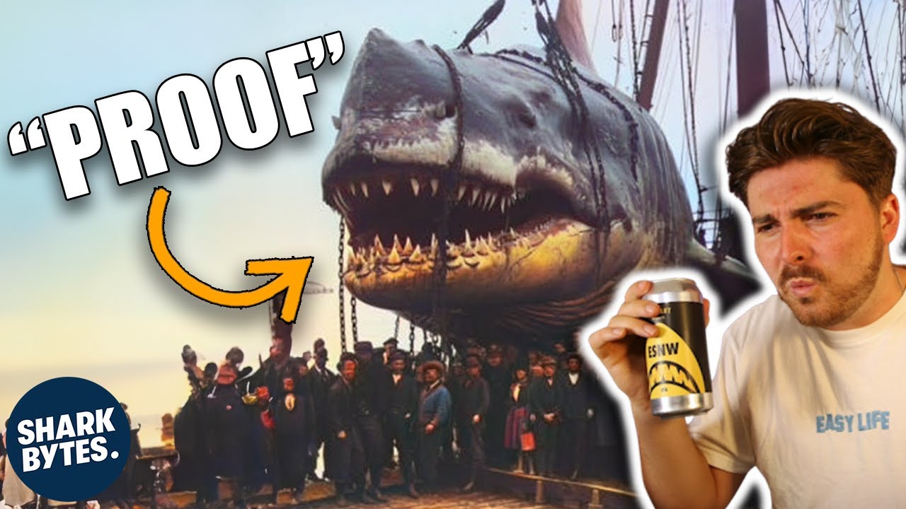 Shark Scientist ENDS Megalodon "Proof" for GOOD!