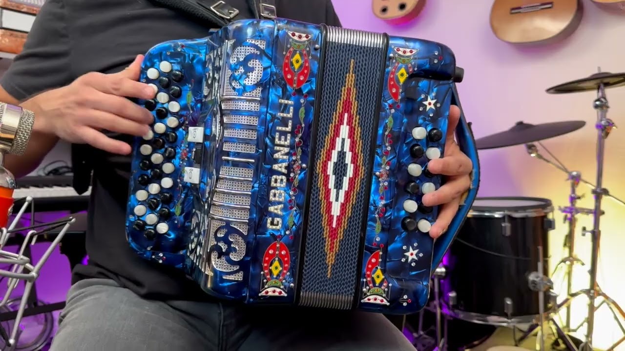 La Barranca (Polka) - Aaron Daniel Salinas (All Instruments Cover)