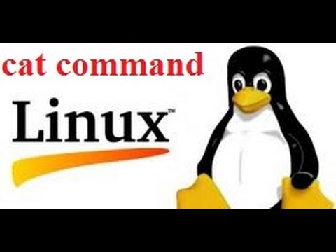 Linux Tutorial For Beginners: 03 cat command