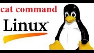 Linux Tutorial For Beginners: 03 cat command