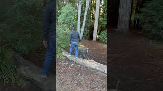 Blind Outdoors..using touch to explore and have fun with a fallen log!