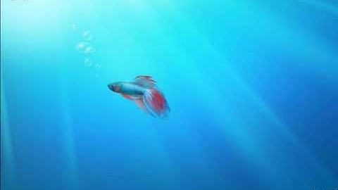 Windows 7 Tutorial 1 - Introduction to the Desktop