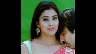 shriya saran compilation don seenu movie #sriya saran#donseenu#new