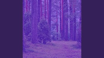 Modish Backdrops for Deep Focus