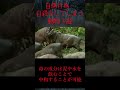 【ゆっくり解説】自傷行為をしてしまう悲しい動物3選