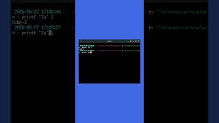 Hexadecimal Exponent Notation with #printf #Clanguage