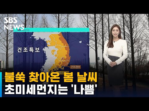 [날씨] 낮 동안 기온 '쑥'…전국 곳곳 초미세먼지 '나쁨' / SBS